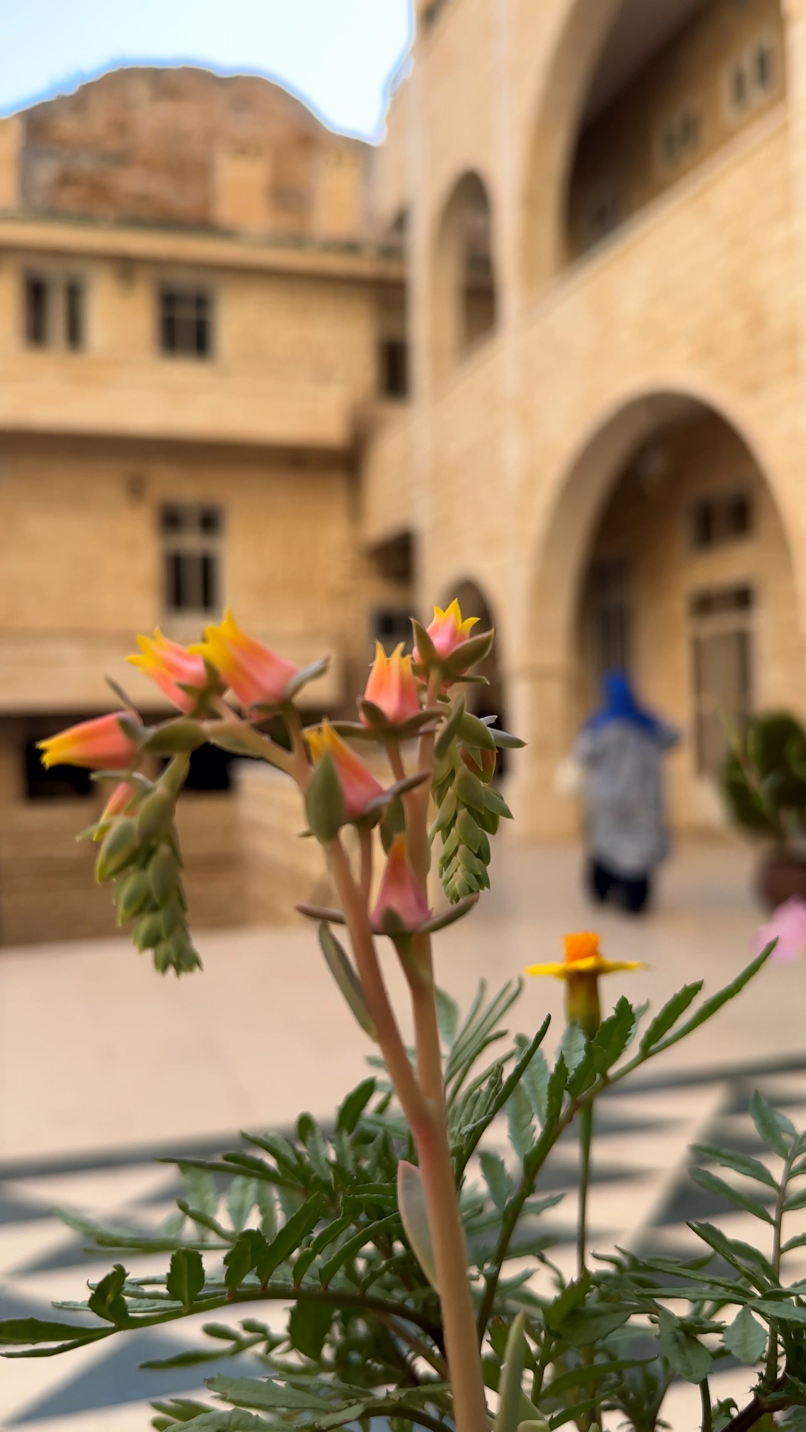 Syria journey photograph