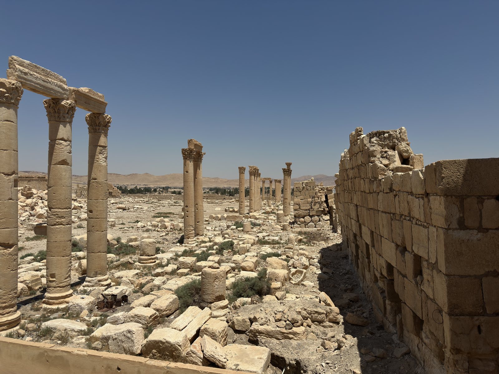 Syria journey photograph