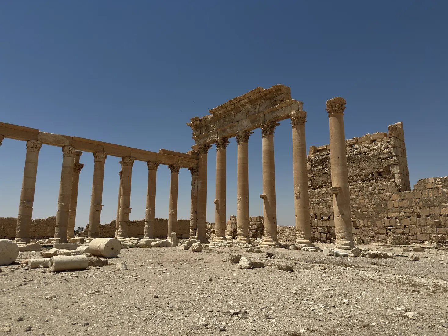 Palmyra